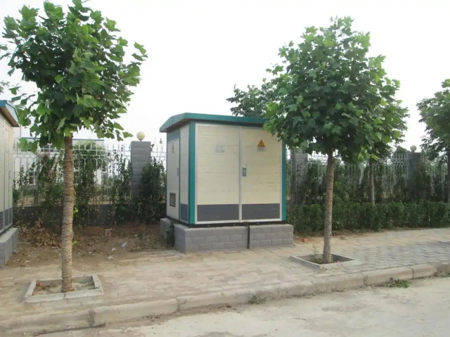 延津1000KVA欧式箱式变压器